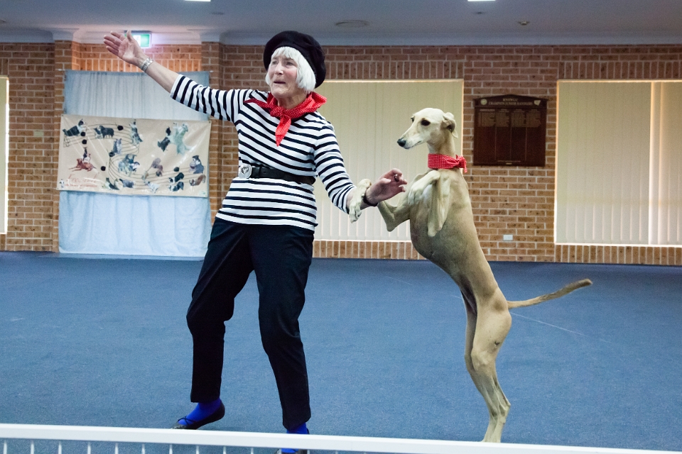 DogsNSW Dances with Dogs Competition