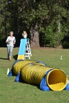17472_006 : dogs, dwd