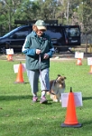 17472_029 : dogs, dwd
