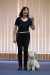 17474_002 : dogs, dwd