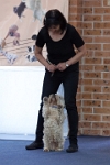 17474_017 : dogs, dwd