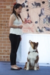 17474_018 : dogs, dwd
