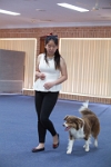 17474_025 : dogs, dwd