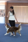 17474_031 : dogs, dwd