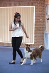 17474_034 : dogs, dwd