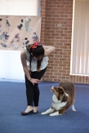 17474_039 : dogs, dwd