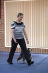 17474_046 : dogs, dwd