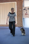 17474_047 : dogs, dwd