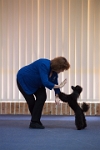17474_051 : dogs, dwd