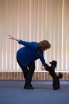 17474_053 : dogs, dwd