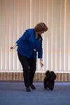 17474_054 : dogs, dwd