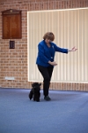 17474_057 : dogs, dwd