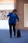 17474_066 : dogs, dwd