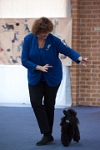 17474_071 : dogs, dwd