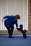 17474_074 : dogs, dwd