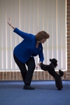 17474_076 : dogs, dwd