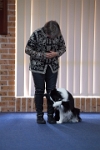 17474_078 : dogs, dwd