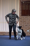 17474_080 : dogs, dwd