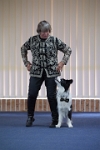 17474_081 : dogs, dwd