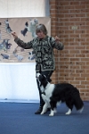 17474_083 : dogs, dwd