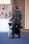 17474_091 : dogs, dwd