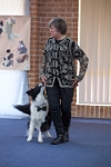 17474_092 : dogs, dwd