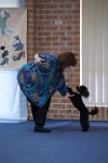 17474_104 : dogs, dwd
