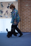 17474_110 : dogs, dwd