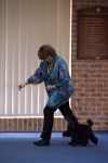 17474_112 : dogs, dwd