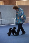 17474_126 : dogs, dwd