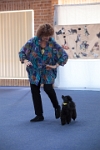 17474_128 : dogs, dwd