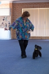 17474_130 : dogs, dwd