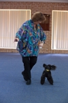 17474_131 : dogs, dwd