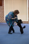 17474_135 : dogs, dwd