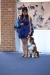 17474_139 : dogs, dwd