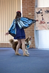 17474_149 : dogs, dwd