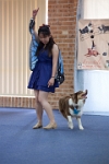 17474_150 : dogs, dwd