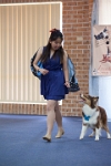 17474_151 : dogs, dwd