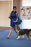 17474_152 : dogs, dwd