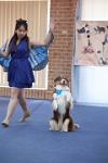 17474_155 : dogs, dwd