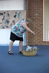 17474_159 : dogs, dwd