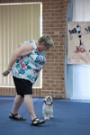 17474_162 : dogs, dwd