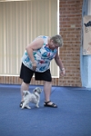 17474_168 : dogs, dwd