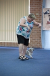 17474_169 : dogs, dwd