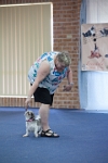 17474_170 : dogs, dwd