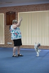 17474_175 : dogs, dwd