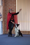 17474_181 : dogs, dwd