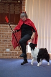 17474_186 : dogs, dwd