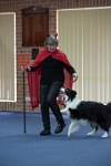 17474_209 : dogs, dwd