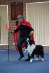 17474_211 : dogs, dwd